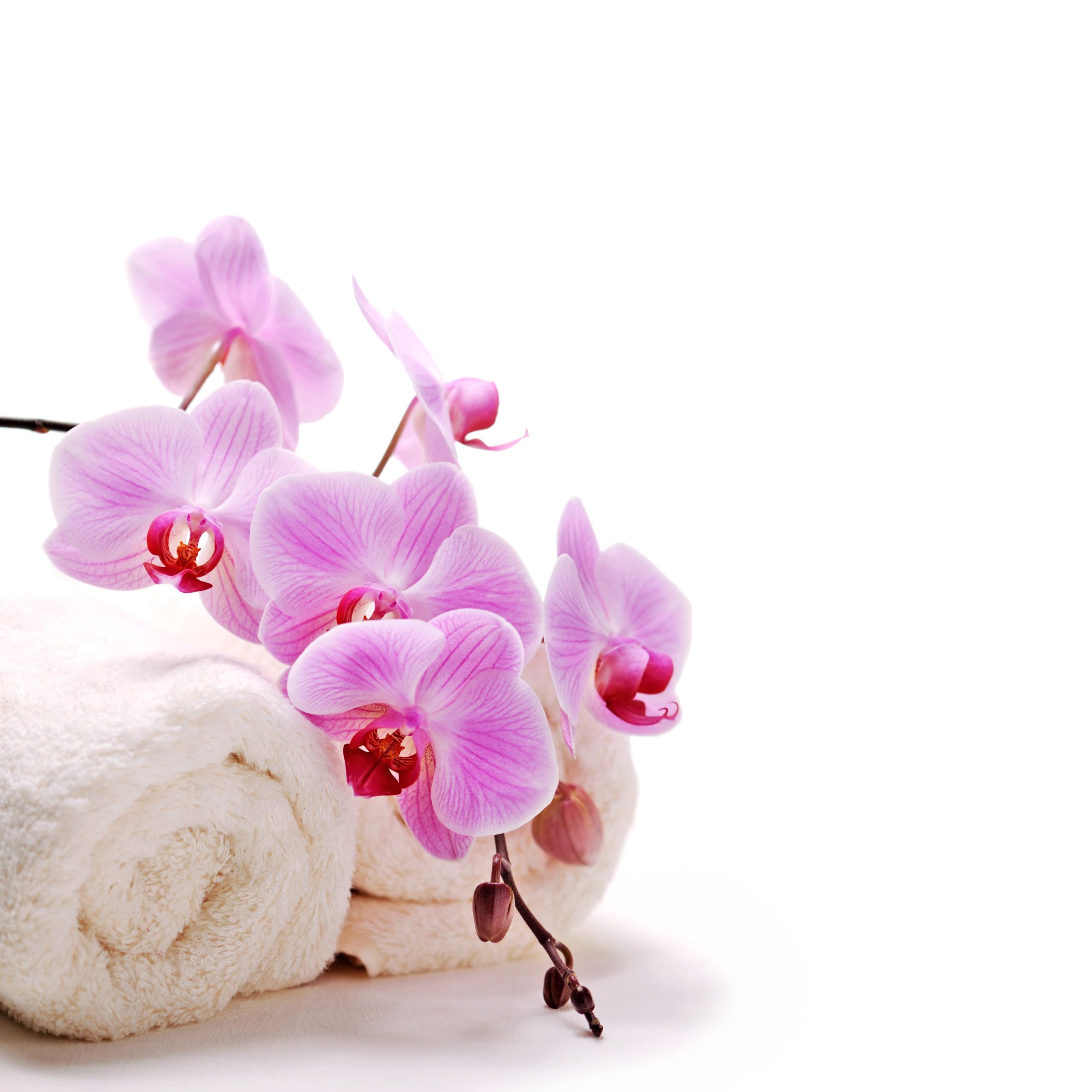 Relaxing spa setting for Russian Spa in Vasant Kunj