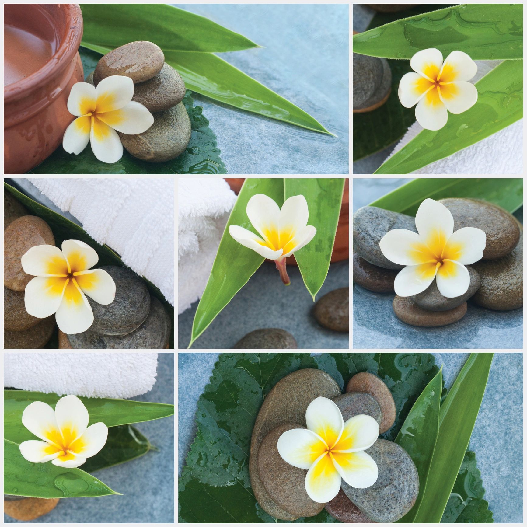 Wellness spa set with flowers and water